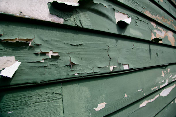 Trusted Wells, MN Junk Removal Experts